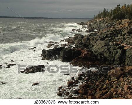 Stock Image -  Acadia National Park, ME, Maine, Atlantic Ocean, Mount Desert Island, Hunters Head, scenic coastline. Fotosearch