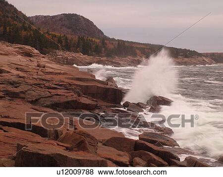Acadia National Park, ME, Maine, Atlantic Ocean, Mount Desert Island, Otter Point, scenic coastline View Large Photo Image Stock Photo - Acadia National Park, ME, Maine, Atlantic Ocean, Mount Desert Island, Otter Point, scenic coastline. Fotosearch