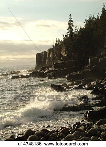 Stock Photograph -  Acadia National Park, ME, Maine, Atlantic Ocean, Mount Desert Island, Otter Point, scenic coastline. Fotosearch