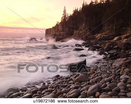 Stock Photograph -  Acadia National Park, ME, Maine, Atlantic Ocean, Mount Desert Island, Otter Point, scenic coastline, sunrise. Fotosearch
