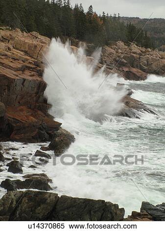 Stock Photography -  Acadia National Park, ME, Maine, Atlantic Ocean, Mount Desert Island, Hunters Head, scenic coastline. Fotosearch