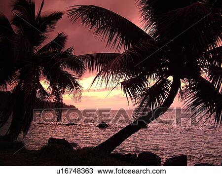 Stock Image -  Anini, Princeville, Kauai, HI, Hawaii, North Shore, Anini beach, sunset. Fotosearch