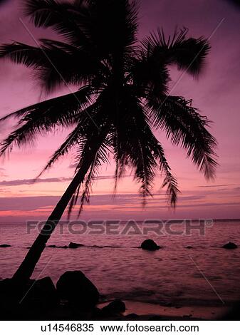 Stock Photography -  Anini, Princeville, Kauai, HI, Hawaii, North Shore, Anini beach, sunset. Fotosearch