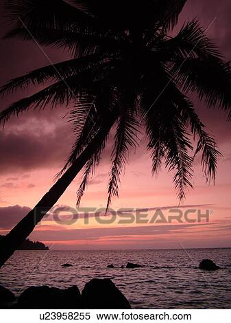 Stock Photography -  Anini, Princeville, Kauai, HI, Hawaii, North Shore, Anini beach, sunset. Fotosearch