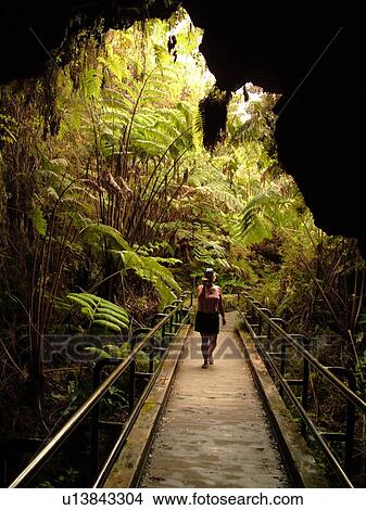 Picture -  Big Island, Island of Hawaii, HI, Hawaii, Hawaii Volcanoes National Park, Kilauea Caldera, volcano, Thurston Lava Tube, Nahuku, trail. Fotosearch