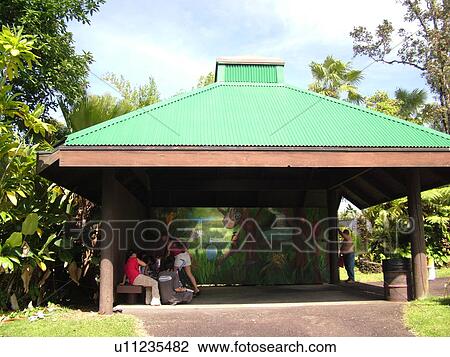 Stock Image -  Big Island, Island of Hawaii, HI, Hawaii, Hilo, Panaewa Rainforest Zoo. Fotosearch