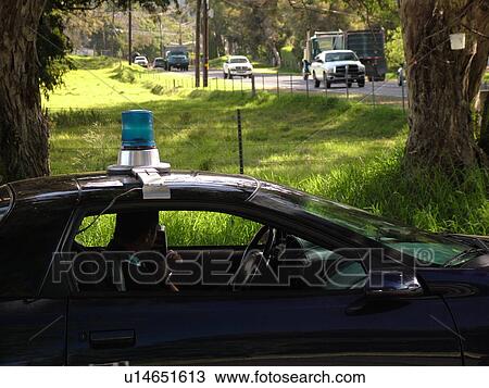 Stock Image -  Big Island, Island of Hawaii, HI, Hawaii, Waimea, policeman in car checking speed with radar. Fotosearch