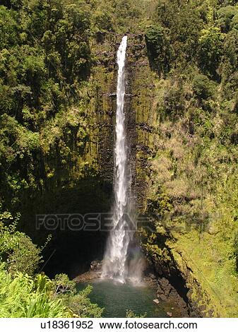 Big Island, Island of Hawaii, HI, Hawaii, Hamakua Coast, Akaka Falls State Park, Akaka Falls View Large Photo Image Stock Image - Big Island, Island of Hawaii, HI, Hawaii, Hamakua Coast, Akaka Falls State Park, Akaka Falls. Fotosearch