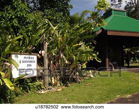 Stock Image -  Big Island, Island of Hawaii, HI, Hawaii, Hilo, Panaewa Rainforest Zoo. Fotosearch
