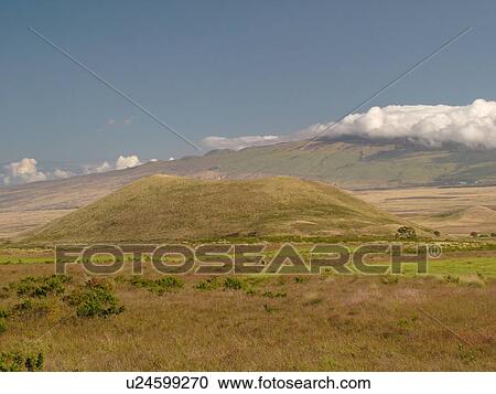 Big Island, Island of Hawaii, HI, Hawaii, Northern Hawaii, Waimea, Kamuela, scenic ranch View Large Photo Image Stock Image - Big Island, Island of Hawaii, HI, Hawaii, Northern Hawaii, Waimea, Kamuela, scenic ranch. Fotosearch