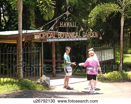 Stock Image -  Big Island, Island of Hawaii, HI, Hawaii, Hamakua Coast, Hilo, Hawaii Tropical Botanical Garden, entrance, wrought iron gate. Fotosearch