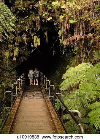 Big Island, Island of Hawaii, HI, Hawaii, Hawaii Volcanoes National Park, Kilauea Caldera, volcano, Thurston Lava Tube, Nahuku, trail View Large Photo Image Stock Photo - Big Island, Island of Hawaii, HI, Hawaii, Hawaii Volcanoes National Park, Kilauea Caldera, volcano, Thurston Lava Tube, Nahuku, trail. Fotosearch