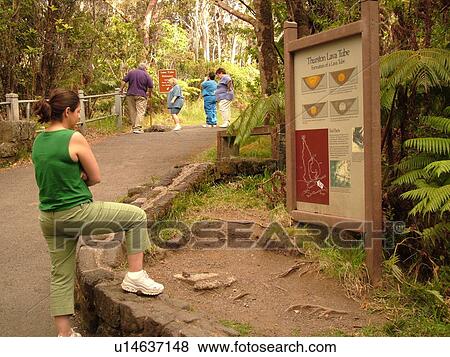Stock Photo -  Big Island, Island of Hawaii, HI, Hawaii, Hawaii Volcanoes National Park, Kilauea Caldera, volcano, Thurston Lava Tube, Nahuku, trail. Fotosearch