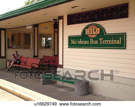 Stock Photo -  Big Island, Island of Hawaii, HI, Hawaii, Hilo, Historic Downtown Hilo, Mo'oheau Bus Terminal. Fotosearch