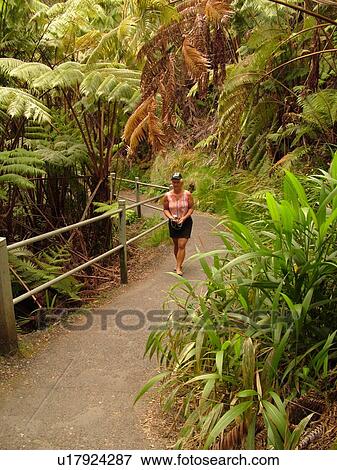 Stock Photo -  Big Island, Island of Hawaii, HI, Hawaii, Hawaii Volcanoes National Park, Kilauea Caldera, volcano, Thurston Lava Tube, Nahuku, trail. Fotosearch