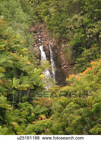 Stock Photo -  Big Island, Island of Hawaii, HI, Hawaii, Northern Hawaii, Hamakua Coast, Maulua Falls, Canyon. Fotosearch