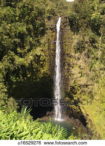 Stock Photograph -  Big Island, Island of Hawaii, HI, Hawaii, Hamakua Coast, Akaka Falls State Park, Akaka Falls. Fotosearch