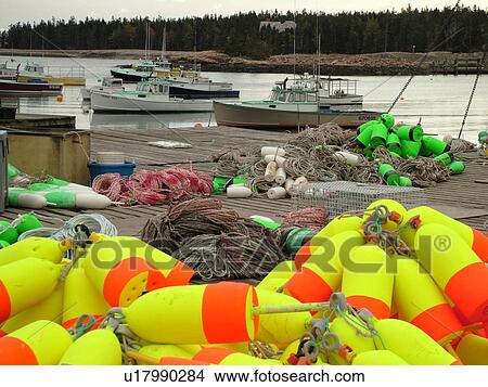 Picture -  Birch Harbor, ME, Maine, Mount Desert Island, Atlantic Ocean, Schoodic Peninsula, lobster boats, lobster buoys. Fotosearch