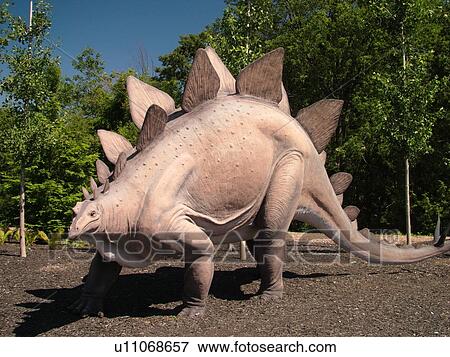Bloomfield Hills, Detroit, MI, Michigan, Cranbrook Institute of Science, Stegosaurus dinosaur View Large Photo Image Stock Photo - Bloomfield Hills, Detroit, MI, Michigan, Cranbrook Institute of Science, Stegosaurus dinosaur. Fotosearch
