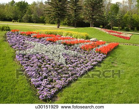 Stock Photo -  Boissevain, Canada, MB, Manitoba, International Peace Garden, ND, North Dakota, USA, border, American flag made of flowers. Fotosearch
