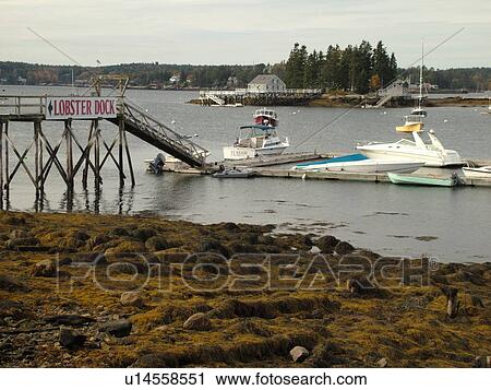 Stock Image -  Booth Bay Harbor, ME, Maine, fishing village, boats, dock, low tide. Fotosearch