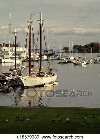 Camden, ME, Maine, Harbor, boats View Large Photo Image Stock Photo - Camden, ME, Maine, Harbor, boats. Fotosearch