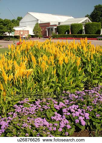 Stock Photograph -  Cleveland, OH, Ohio, Rockefeller Park, City of Cleveland Greenhouse Botanical Garden. Fotosearch