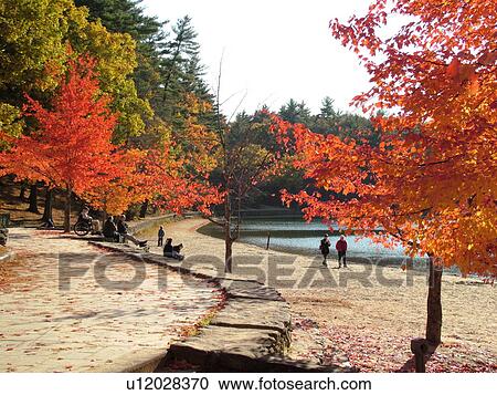 Concord, MA, Massachusetts, Walden Pond State Reservation, Henry David Thoreau View Large Photo Image Stock Image - Concord, MA, Massachusetts, Walden Pond State Reservation, Henry David Thoreau. Fotosearch