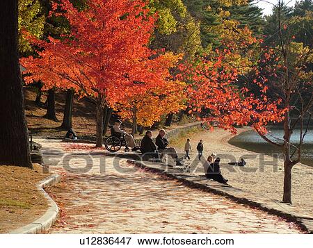 Stock Photo -  Concord, MA, Massachusetts, Walden Pond State Reservation, Henry David Thoreau. Fotosearch
