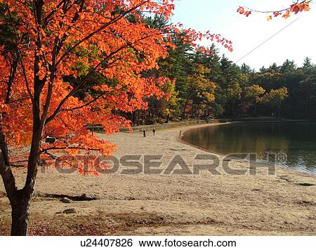 Concord, MA, Massachusetts, Walden Pond State Reservation, Henry David Thoreau View Large Photo Image Stock Photograph - Concord, MA, Massachusetts, Walden Pond State Reservation, Henry David Thoreau. Fotosearch