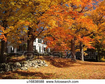 Durham, NH, New Hampshire, Emery Farm, autumn View Large Photo Image Stock Photo - Durham, NH, New Hampshire, Emery Farm, autumn. Fotosearch