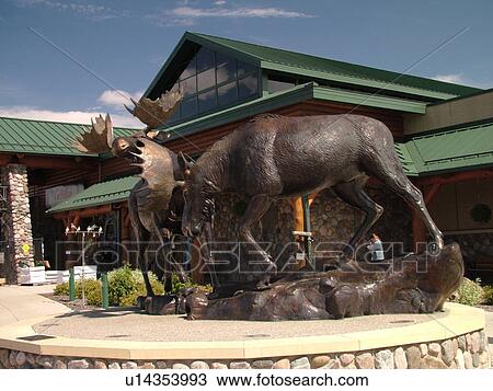 Stock Image -  East Grand Forks, MN, Minnesota, Cabela's Store, World's Foremost Outfitter Store, bull moose statue. Fotosearch