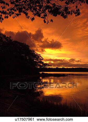 Freeport, ME, Maine, Casca Bay, Wolf Neck State Park, sunrise, scenic coastline View Large Photo Image Stock Image - Freeport, ME, Maine, Casca Bay, Wolf Neck State Park, sunrise, scenic coastline. Fotosearch