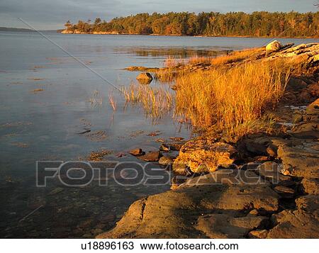 Stock Image -  Freeport, ME, Maine, Casca Bay, Wolf Neck State Park, scenic coastline. Fotosearch