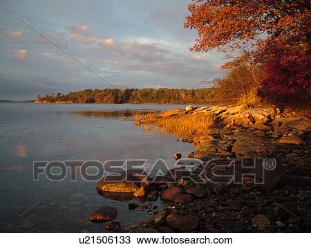 Freeport, ME, Maine, Casca Bay, Wolf Neck State Park, scenic coastline View Large Photo Image Stock Image - Freeport, ME, Maine, Casca Bay, Wolf Neck State Park, scenic coastline. Fotosearch