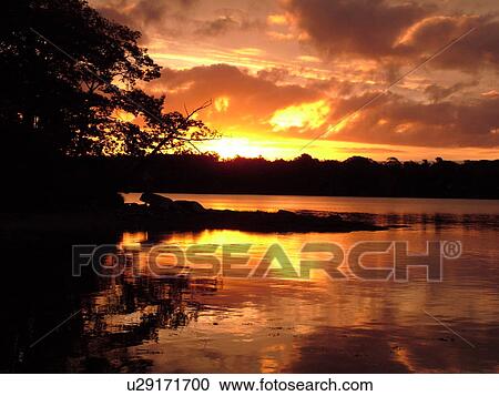 Stock Image -  Freeport, ME, Maine, Casca Bay, Wolf Neck State Park, sunrise, scenic coastline. Fotosearch