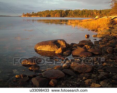 Freeport, ME, Maine, Casca Bay, Wolf Neck State Park, scenic coastline View Large Photo Image Stock Image - Freeport, ME, Maine, Casca Bay, Wolf Neck State Park, scenic coastline. Fotosearch
