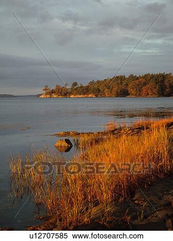 Freeport, ME, Maine, Casca Bay, Wolf Neck State Park, scenic coastline View Large Photo Image Stock Photography - Freeport, ME, Maine, Casca Bay, Wolf Neck State Park, scenic coastline. Fotosearch