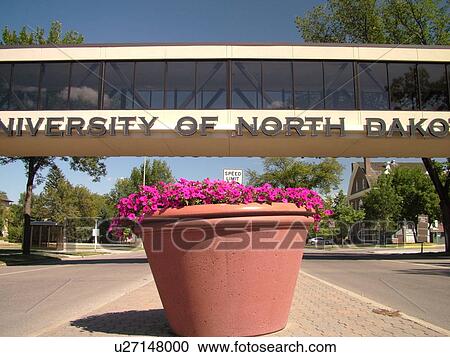 Grand Forks, ND, North Dakota, University of North Dakota, covered pedestrian walkway over the road, campus View Large Photo Image Stock Image - Grand Forks, ND, North Dakota, University of North Dakota, covered pedestrian walkway over the road, campus. Fotosearch