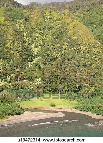Hana Highway, Maui, HI, Hawaii, Hana Coast, Highway 360, East Maui, North Shore, Honomanu Bay View Large Photo Image Picture - Hana Highway, Maui, HI, Hawaii, Hana Coast, Highway 360, East Maui, North Shore, Honomanu Bay. Fotosearch