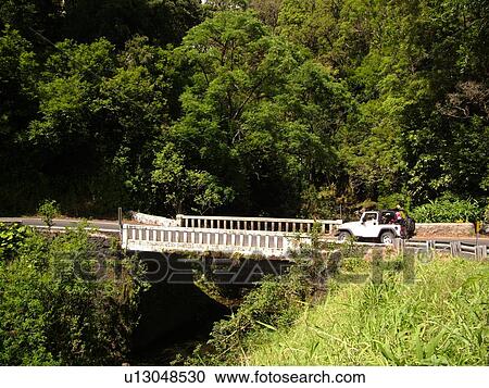 Hana Highway, Maui, HI, Hawaii, Hana Coast, Highway 360, East Maui, North Shore View Large Photo Image Stock Image - Hana Highway, Maui, HI, Hawaii, Hana Coast, Highway 360, East Maui, North Shore. Fotosearch