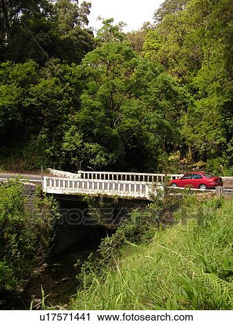 Hana Highway, Maui, HI, Hawaii, Hana Coast, Highway 360, East Maui, North Shore View Large Photo Image Stock Image -  Hana Highway, Maui, HI, Hawaii, Hana Coast, Highway 360, East Maui, North Shore. Fotosearch