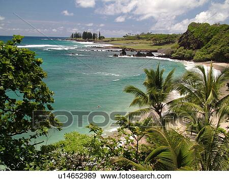Hana Highway, Maui, HI, Hawaii, Hana Coast, Highway 360, East Maui, North Shore, Hamoa Beach View Large Photo Image Stock Photo - Hana Highway, Maui, HI, Hawaii, Hana Coast, Highway 360, East Maui, North Shore, Hamoa Beach. Fotosearch
