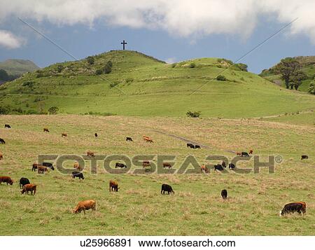 Hana, Maui, HI, Hawaii, Hana Coast, East Maui, North Shore, Hana Ranch ...