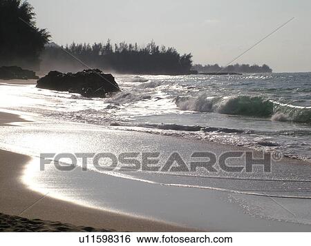Hanalei, Princeville, Kauai, HI, Hawaii, North Shore, Lumahai Beach View Large Photo Image Stock Photograph - Hanalei, Princeville, Kauai, HI, Hawaii, North Shore, Lumahai Beach. Fotosearch