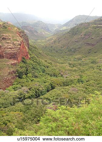 Picture -  Hanapepe, Kauai, HI, Hawaii, Westside, Hanapepe Valley, lookout. Fotosearch