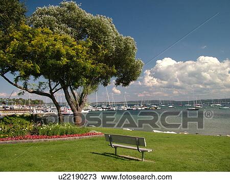 Stock Image -  Harbor Springs, MI, Michigan, Lake Michigan, City Park, lakefront, marina, park bench. Fotosearch