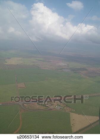 HI, Hawaii, Pacific Ocean, Aloha Airlines, Inter-Island flight, aerial of Maui, Central Valley, sugarcane fields View Large Photo Image Picture -  HI, Hawaii, Pacific Ocean, Aloha Airlines, Inter-Island flight, aerial of Maui, Central Valley, sugarcane fields. Fotosearch