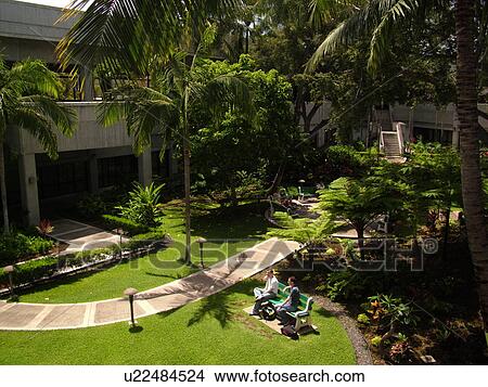 Picture -  Honolulu, Oahu, HI, Hawaii, Honolulu International Airport. Fotosearch