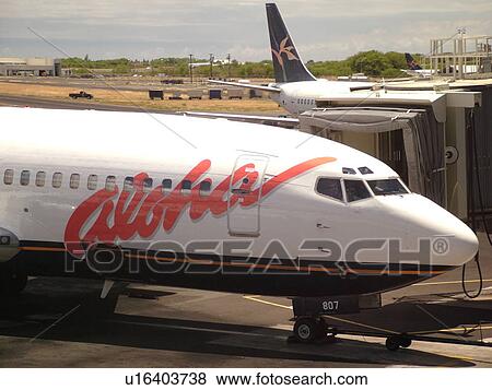 Honolulu, Oahu, HI, Hawaii, Honolulu International airport, hub, Aloha Airlines View Large Photo Image Stock Photo - Honolulu, Oahu, HI, Hawaii, Honolulu International airport, hub, Aloha Airlines. Fotosearch